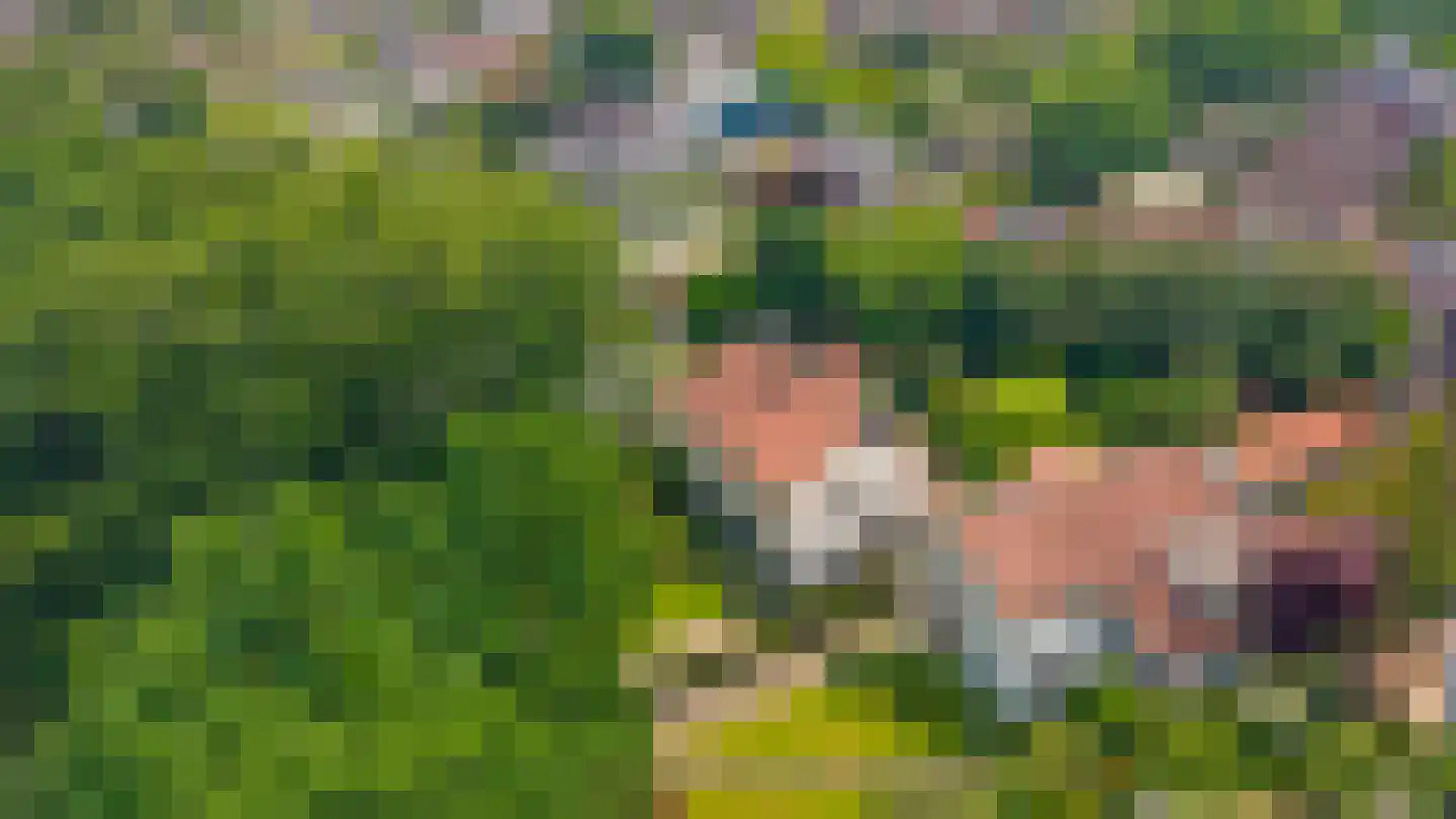 Dennenweg 13 Velp thumbnail 59