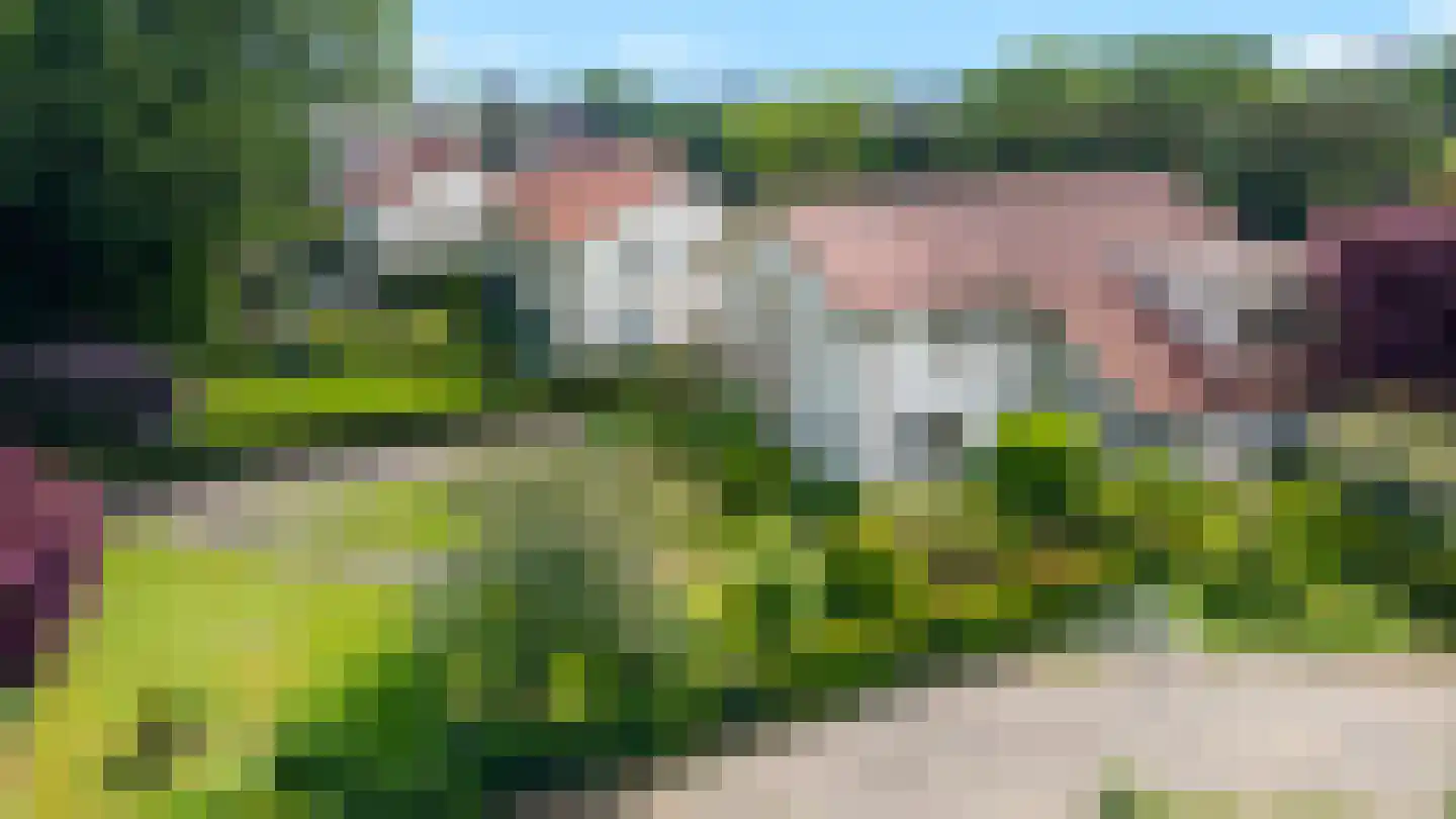 Dennenweg 13 Velp thumbnail 60
