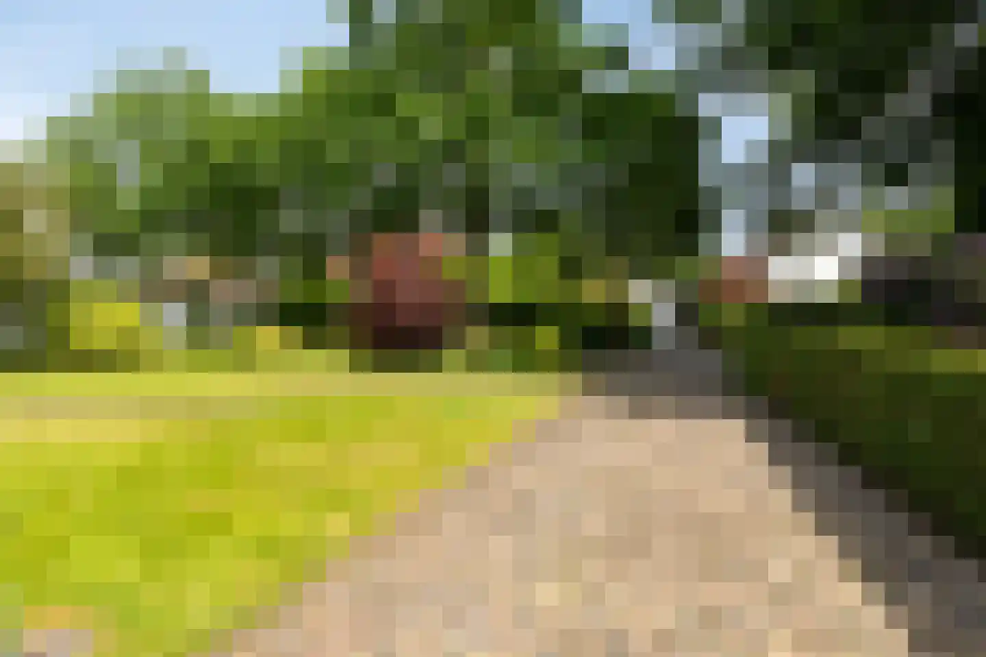 Dennenweg 13 Velp thumbnail 61