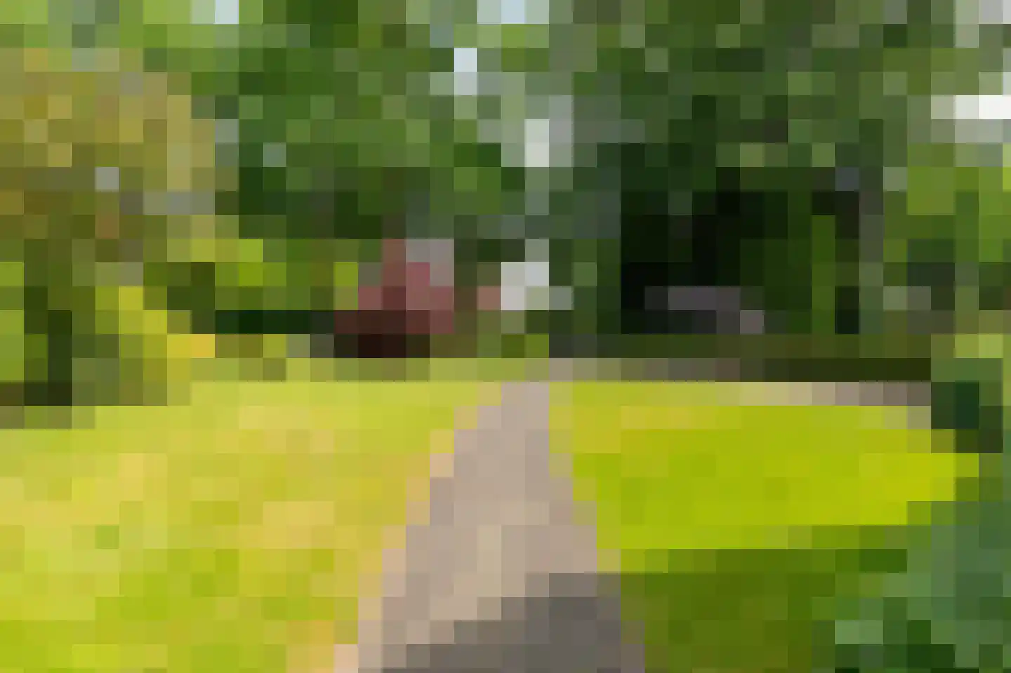 Dennenweg 13 Velp thumbnail 62