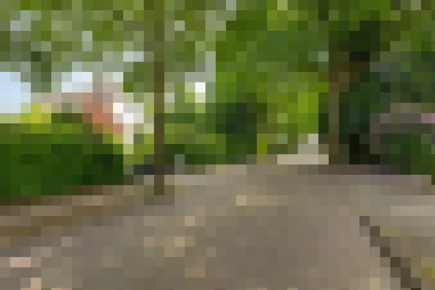 Dennenweg 13 Velp thumbnail 63