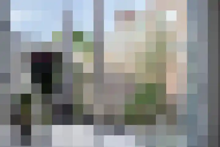 Dennenweg 131 Arnhem thumbnail 12