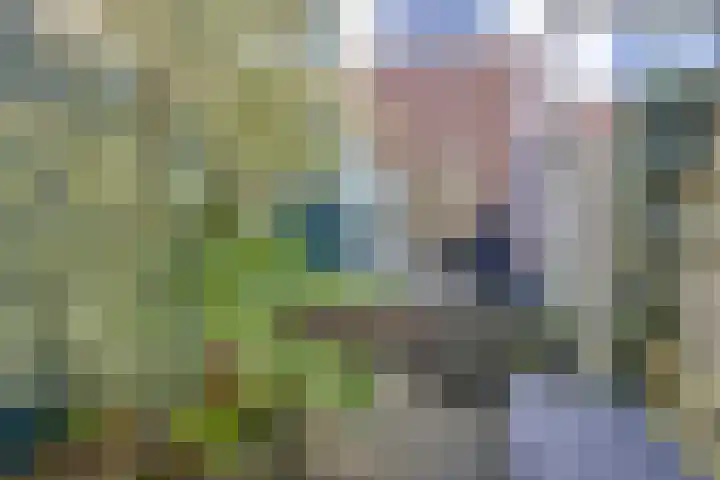 Dennenweg 131 Arnhem thumbnail 16