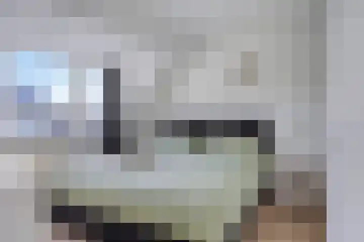 Dennenweg 131 Arnhem thumbnail 22