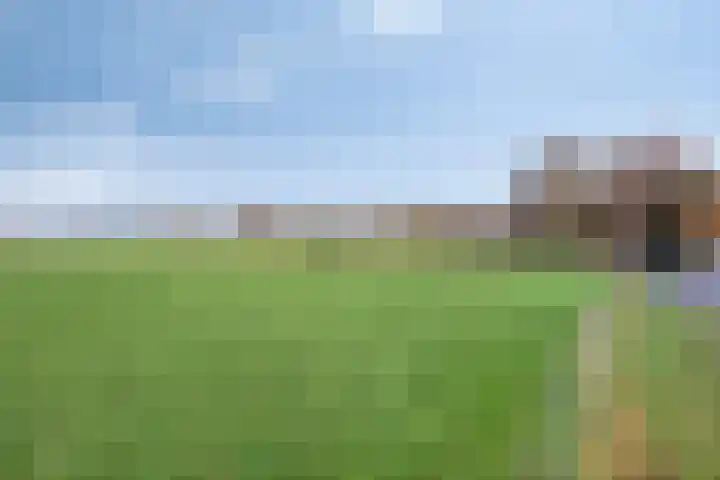 Dennenweg 131 Arnhem thumbnail 36
