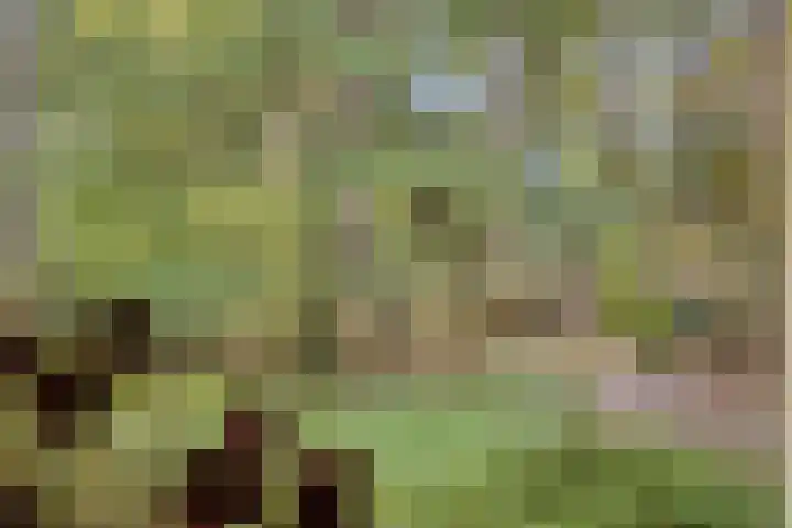 Dennenweg 16 Vaassen thumbnail 12
