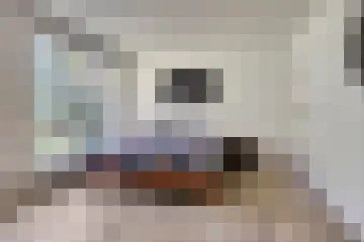 Dennenweg 16 Vaassen thumbnail 24