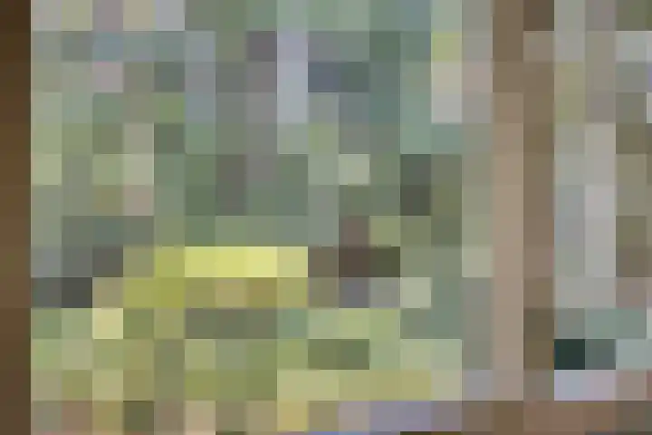Dennenweg 16 Vaassen thumbnail 32