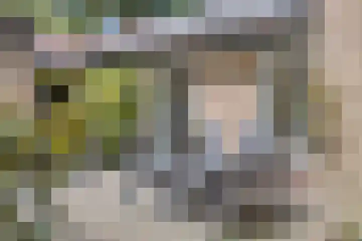 Dennenweg 16 Vaassen thumbnail 33