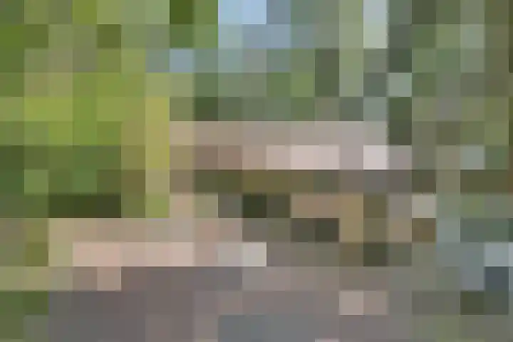 Dennenweg 16 Vaassen thumbnail 35