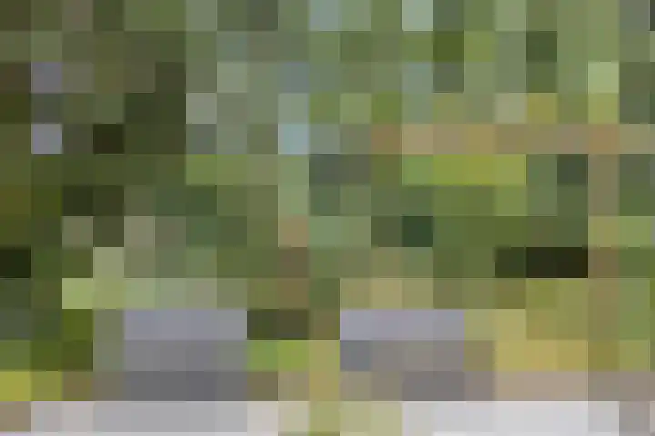 Dennenweg 16 Vaassen thumbnail 37