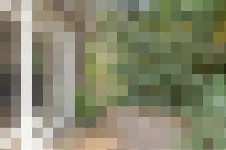 Dennenweg 16 Vaassen thumbnail 38