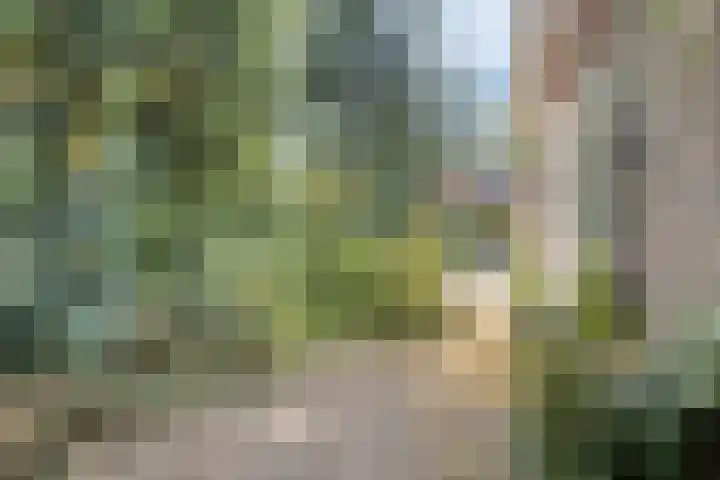 Dennenweg 16 Vaassen thumbnail 39