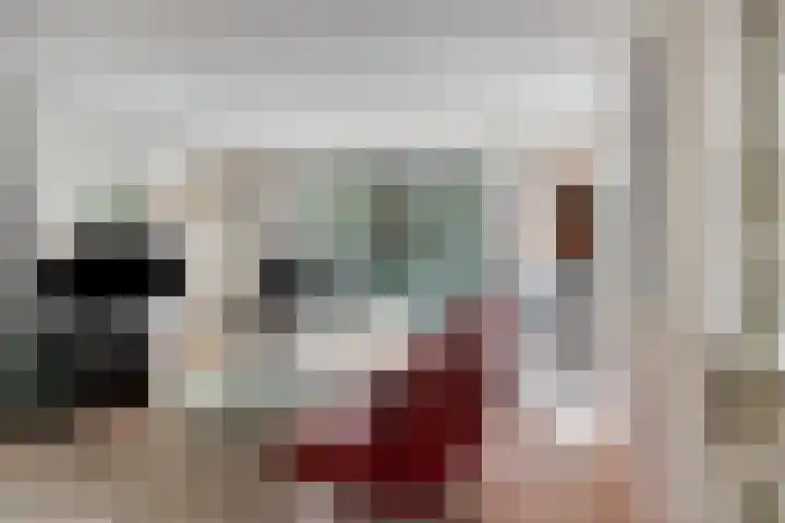 Dennenweg 16 Vaassen thumbnail 4