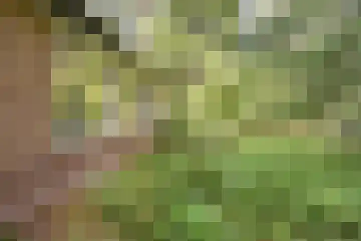 Dennenweg 16 Vaassen thumbnail 40