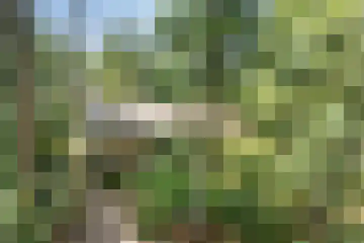 Dennenweg 16 Vaassen thumbnail 41