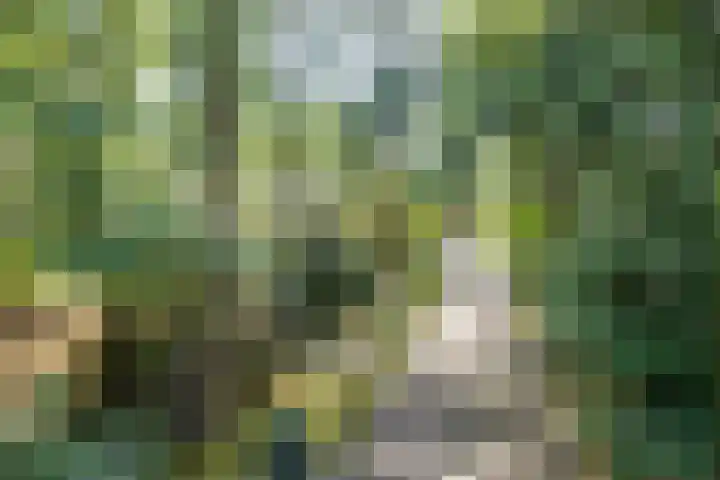 Dennenweg 16 Vaassen thumbnail 43