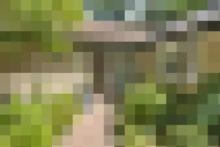 Dennenweg 16 Vaassen thumbnail 44