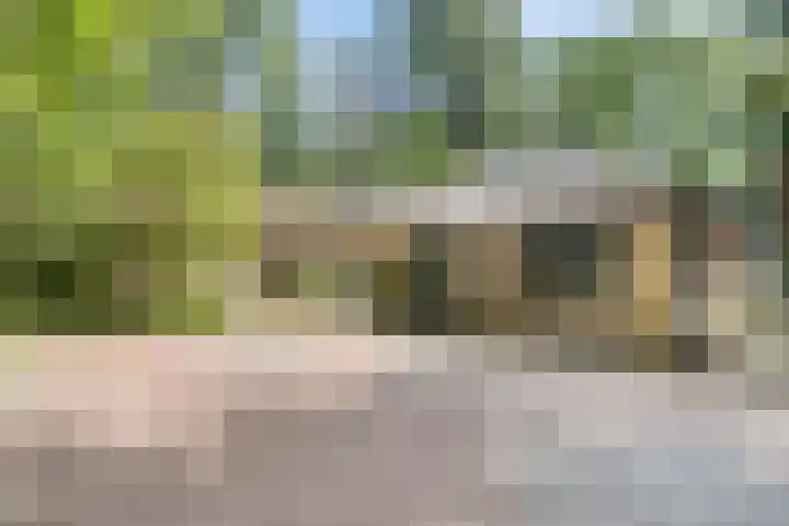 Dennenweg 16 Vaassen thumbnail 45