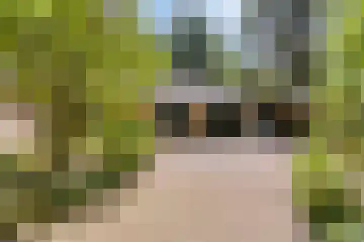 Dennenweg 16 Vaassen thumbnail 46