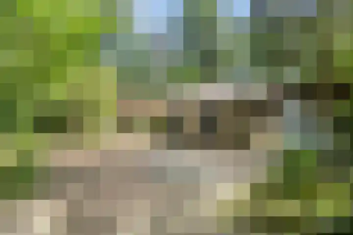 Dennenweg 16 Vaassen thumbnail 47