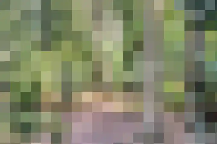 Dennenweg 16 Vaassen thumbnail 50