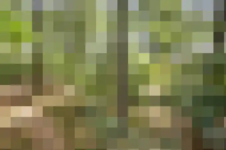 Dennenweg 16 Vaassen thumbnail 51