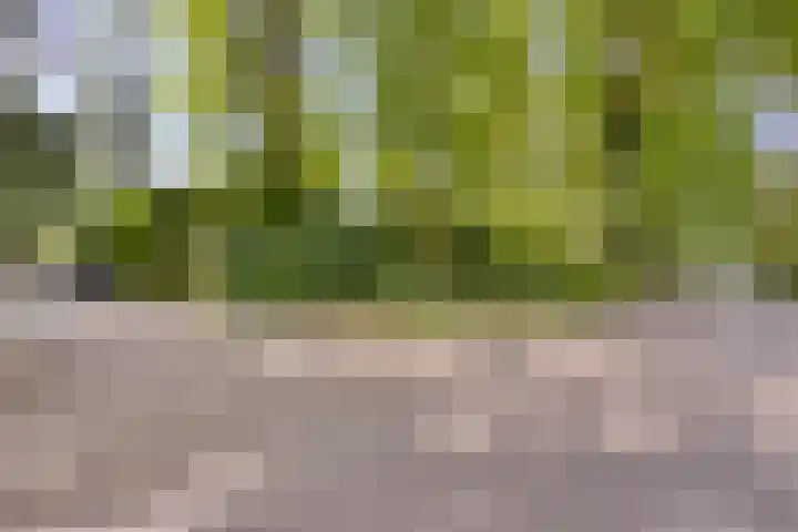 Dennenweg 16 Vaassen thumbnail 52