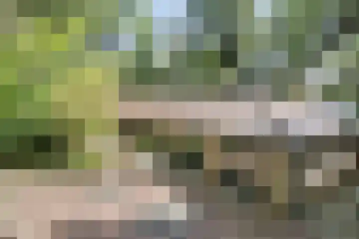 Dennenweg 16 Vaassen thumbnail 58