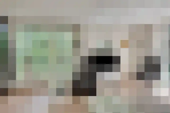 Dennenweg 16 Vaassen thumbnail 8