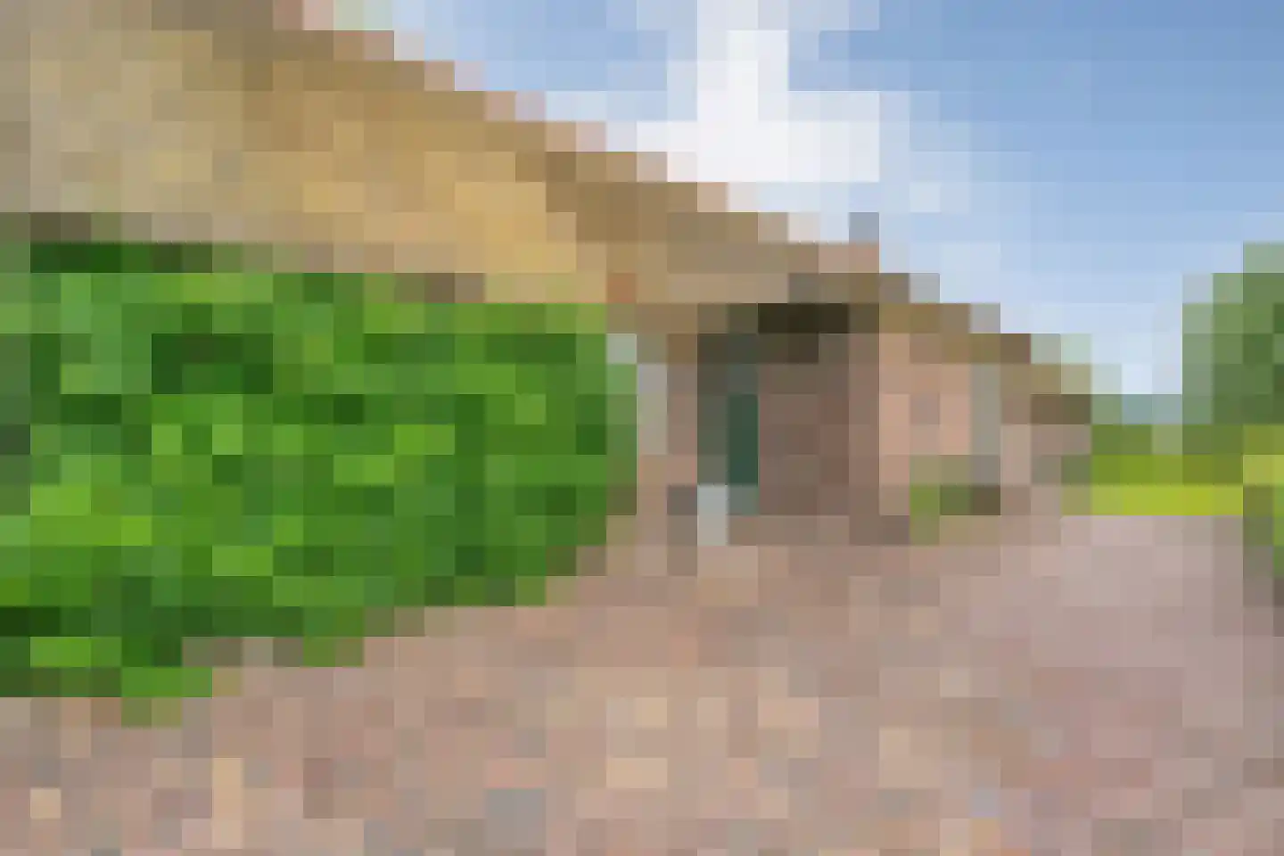 Dennenweg 2 Linde thumbnail 11