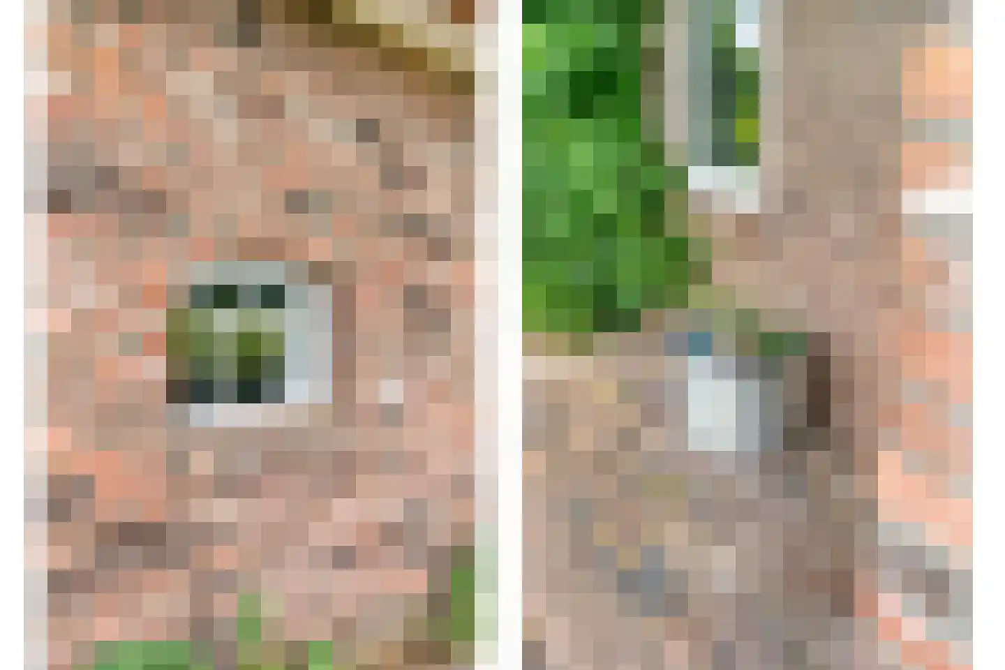 Dennenweg 2 Linde thumbnail 12
