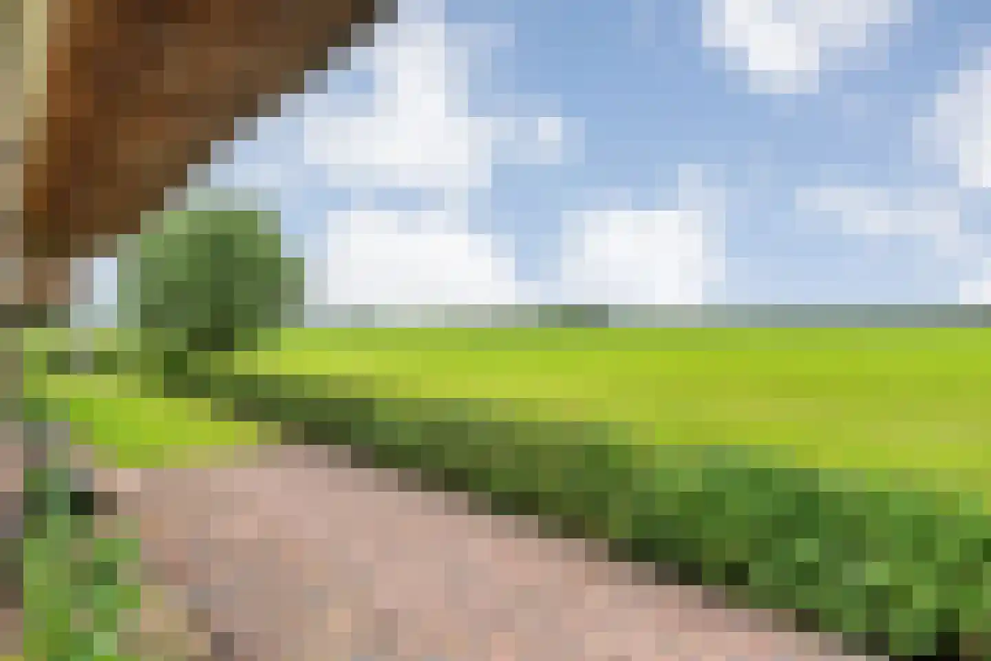 Dennenweg 2 Linde thumbnail 13
