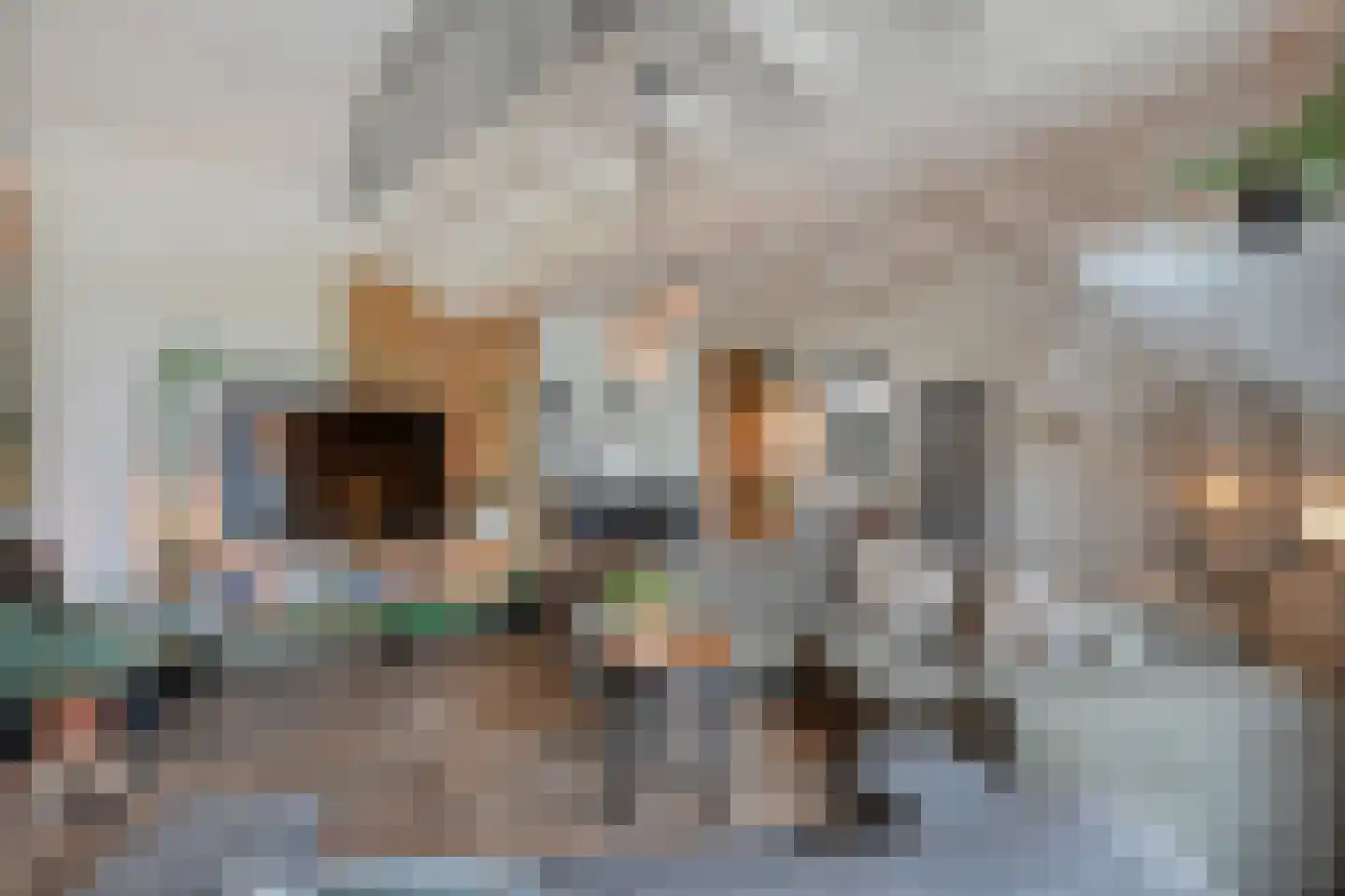 Dennenweg 2 Linde thumbnail 23
