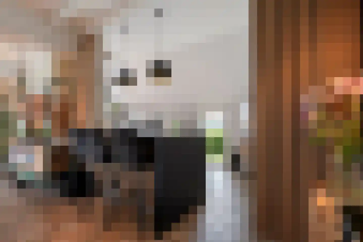 Dennenweg 2 Linde thumbnail 24