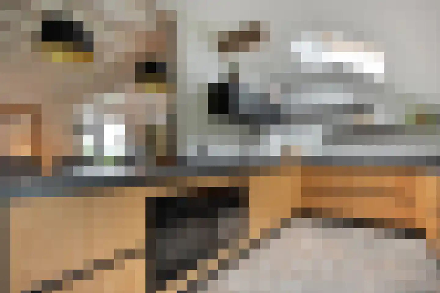 Dennenweg 2 Linde thumbnail 25