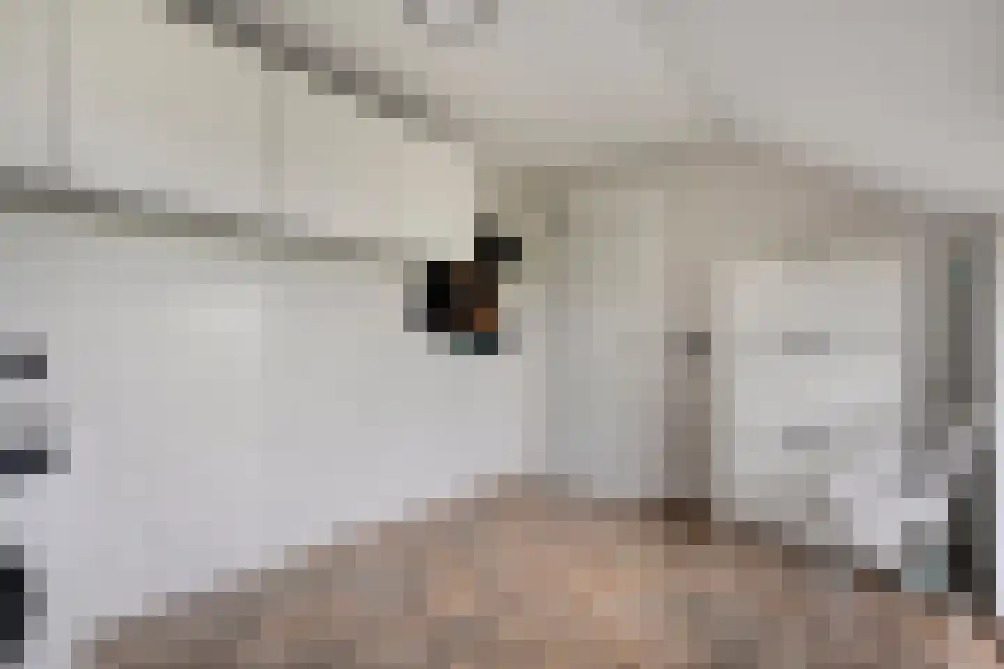 Dennenweg 2 Linde thumbnail 30