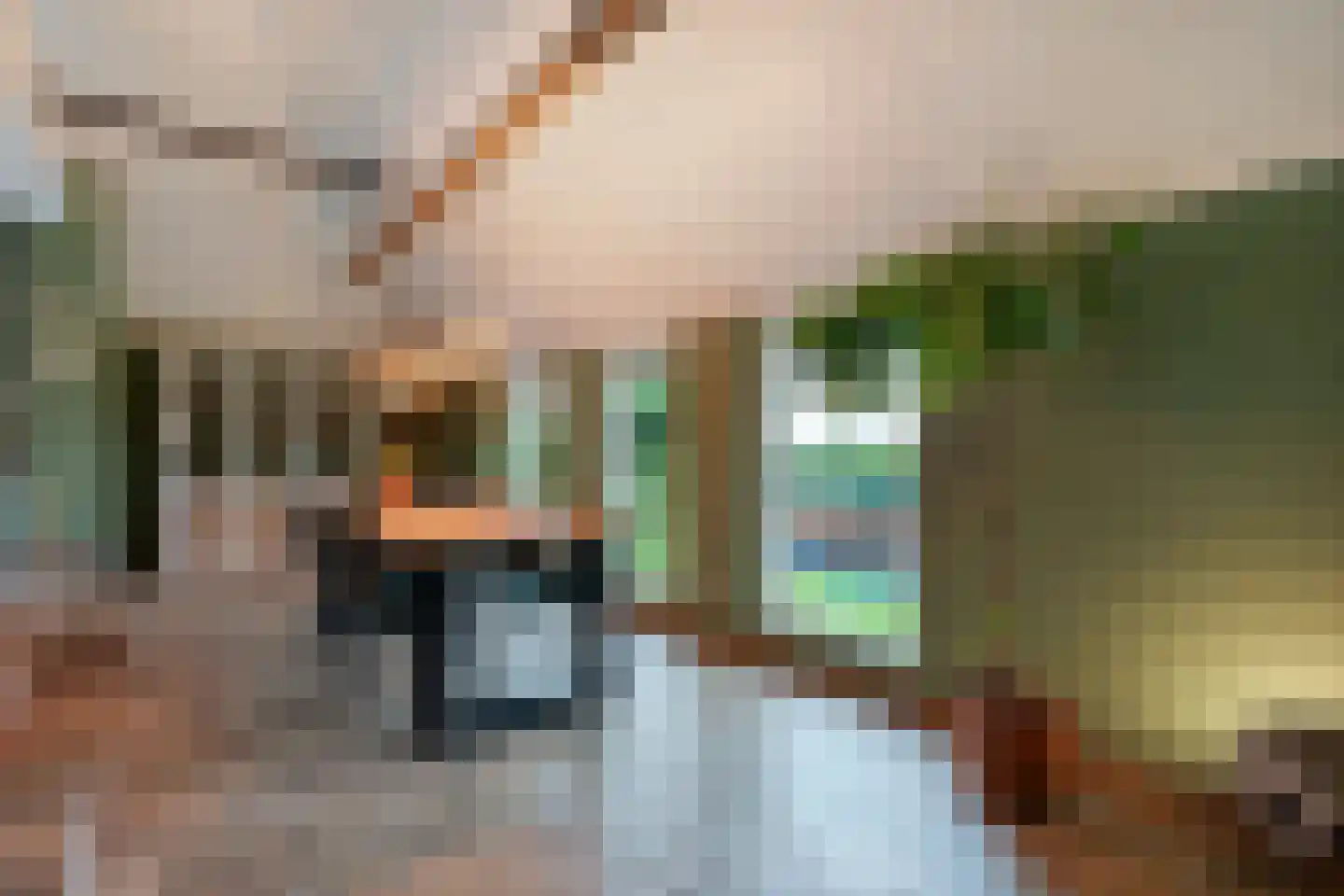 Dennenweg 2 Linde thumbnail 35