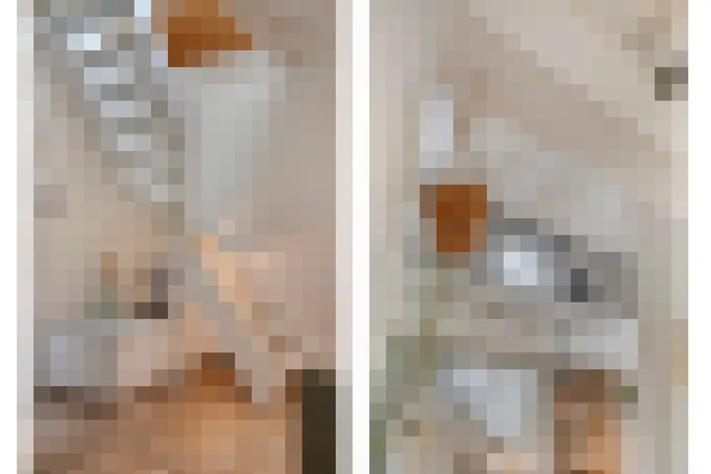 Dennenweg 2 Linde thumbnail 37