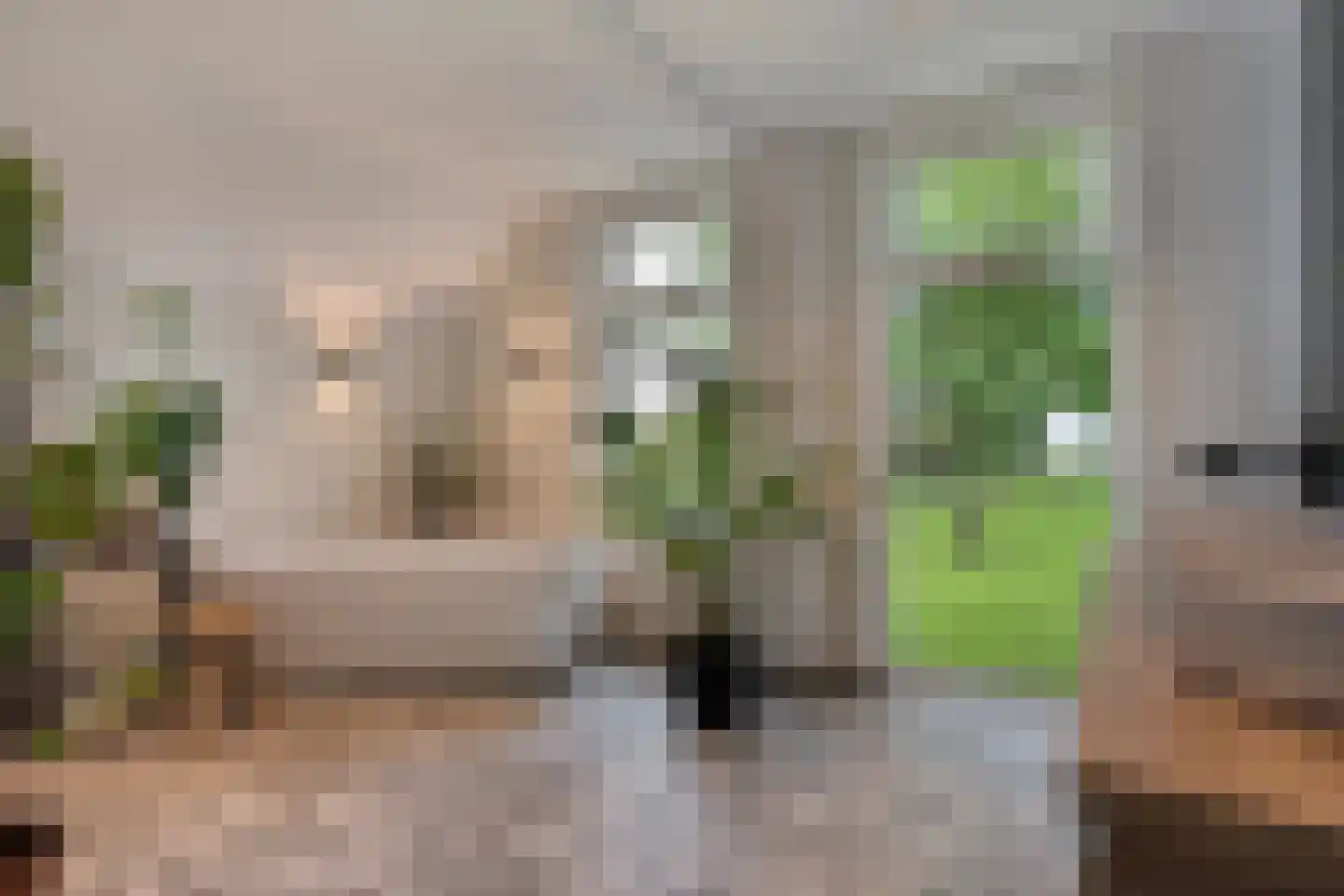 Dennenweg 2 Linde thumbnail 41