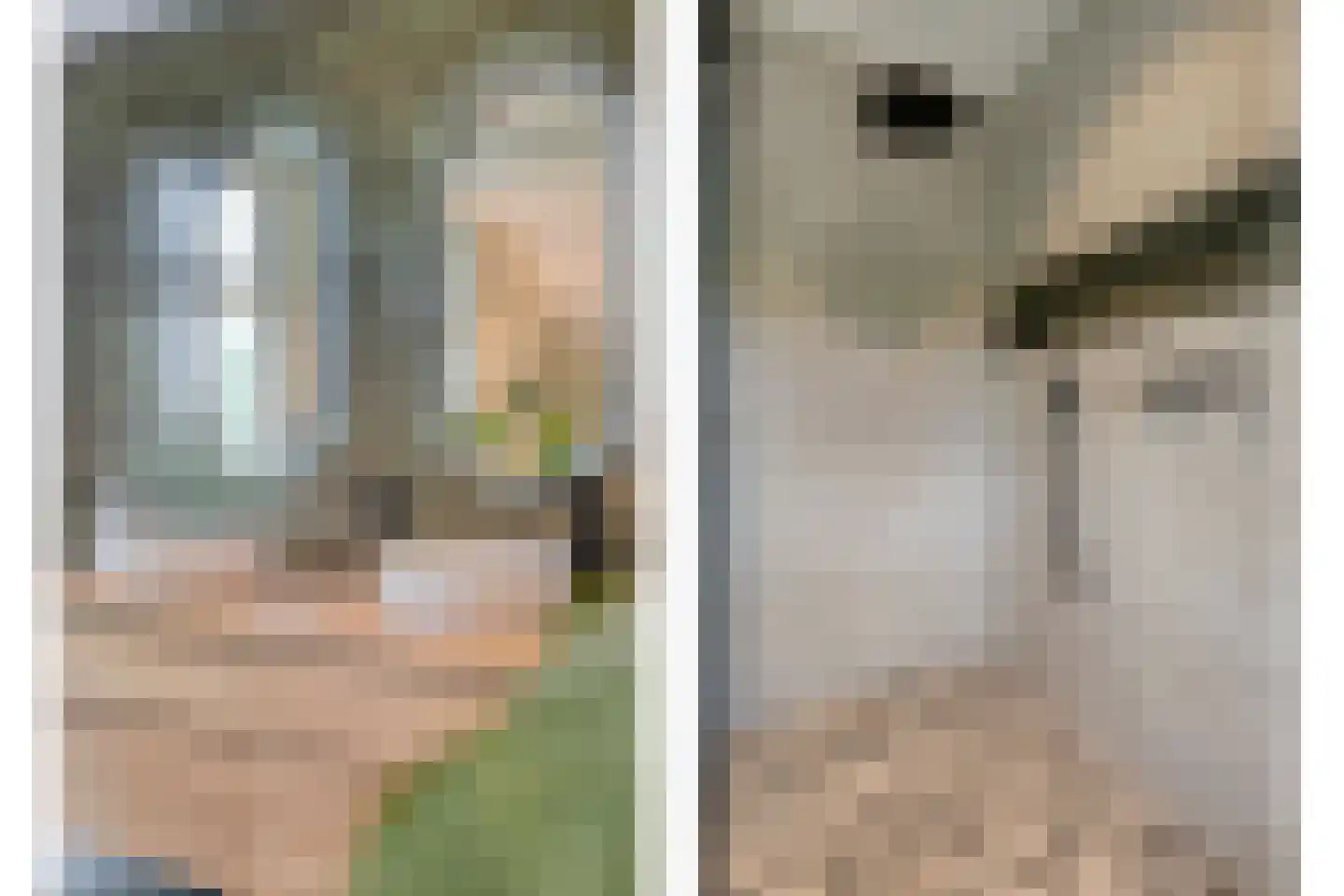 Dennenweg 2 Linde thumbnail 42