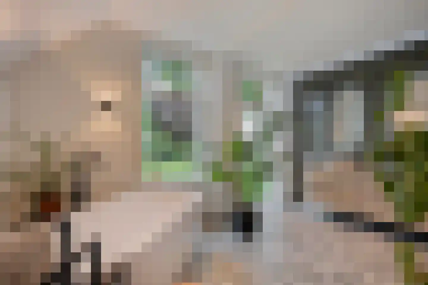 Dennenweg 2 Linde thumbnail 44