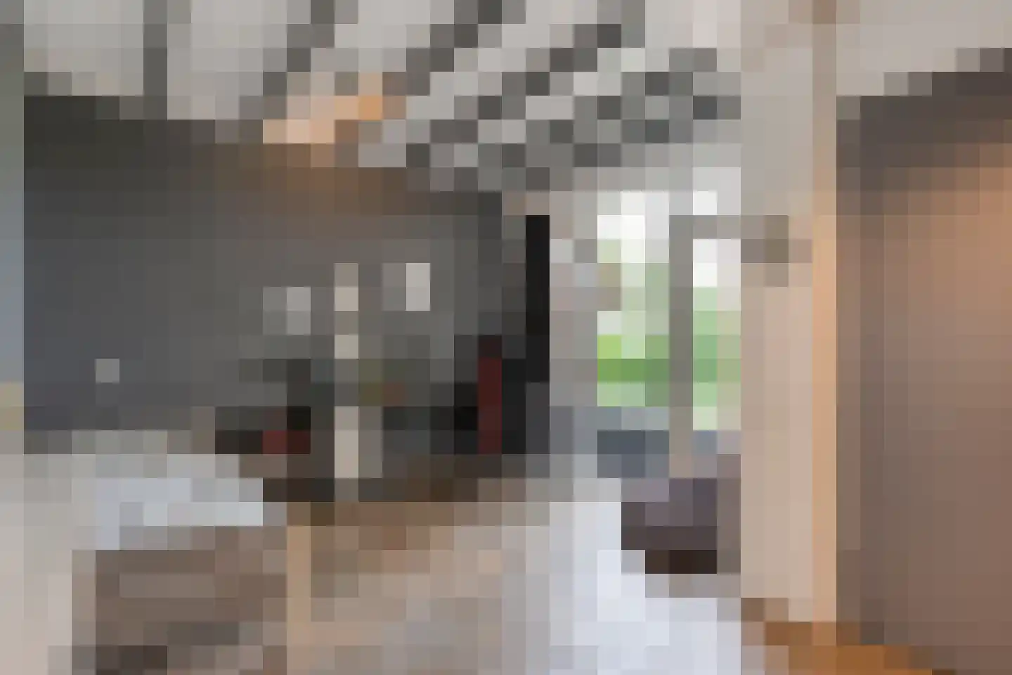 Dennenweg 2 Linde thumbnail 45