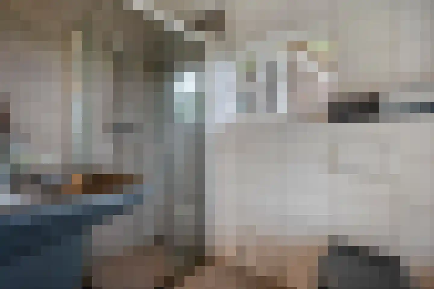 Dennenweg 2 Linde thumbnail 51