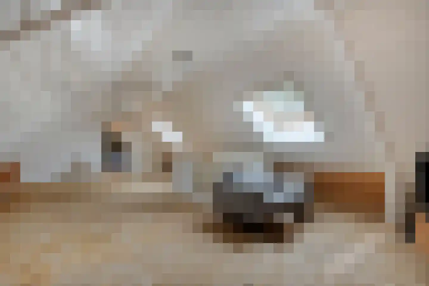 Dennenweg 2 Linde thumbnail 55