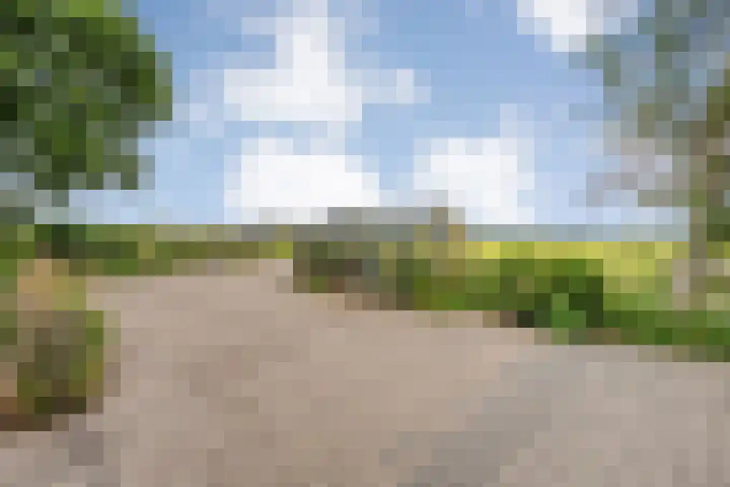 Dennenweg 2 Linde thumbnail 6