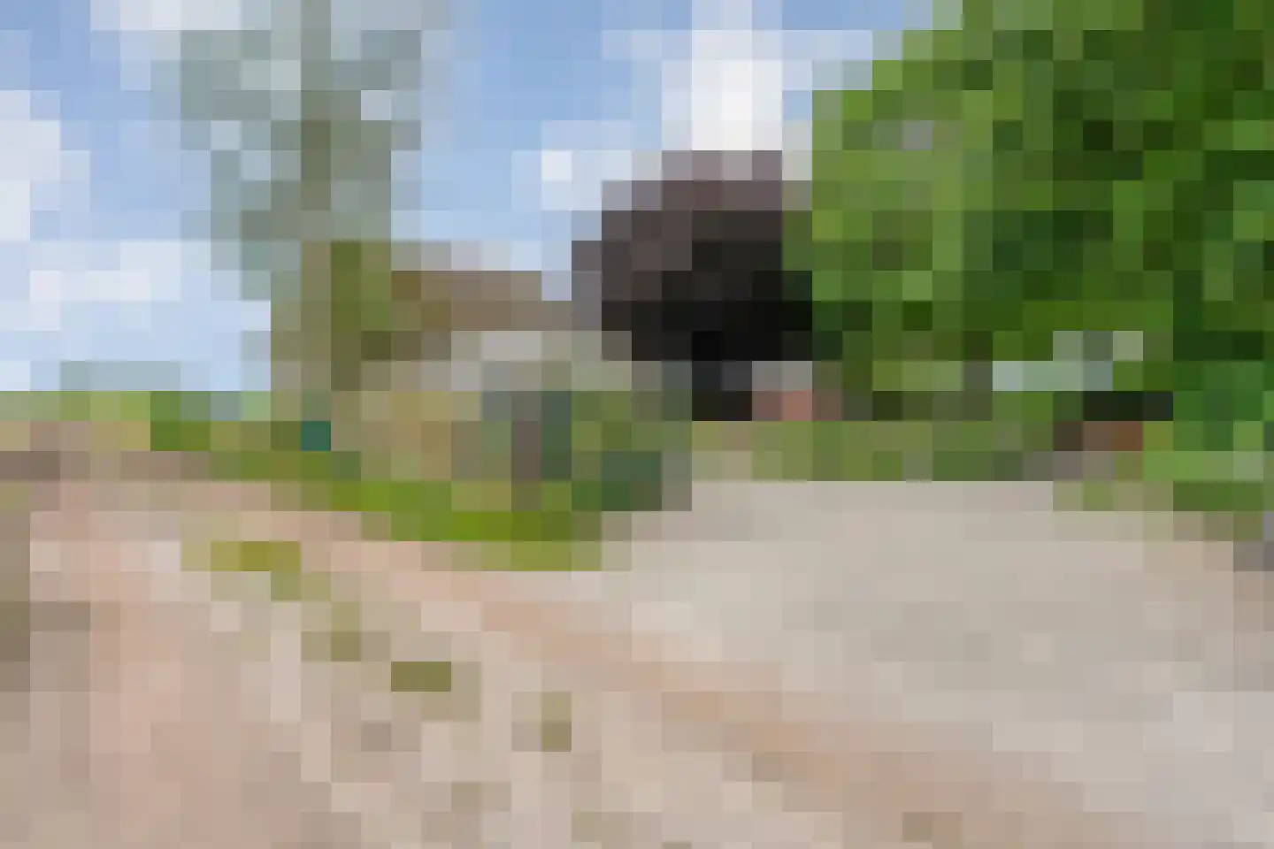 Dennenweg 2 Linde thumbnail 6