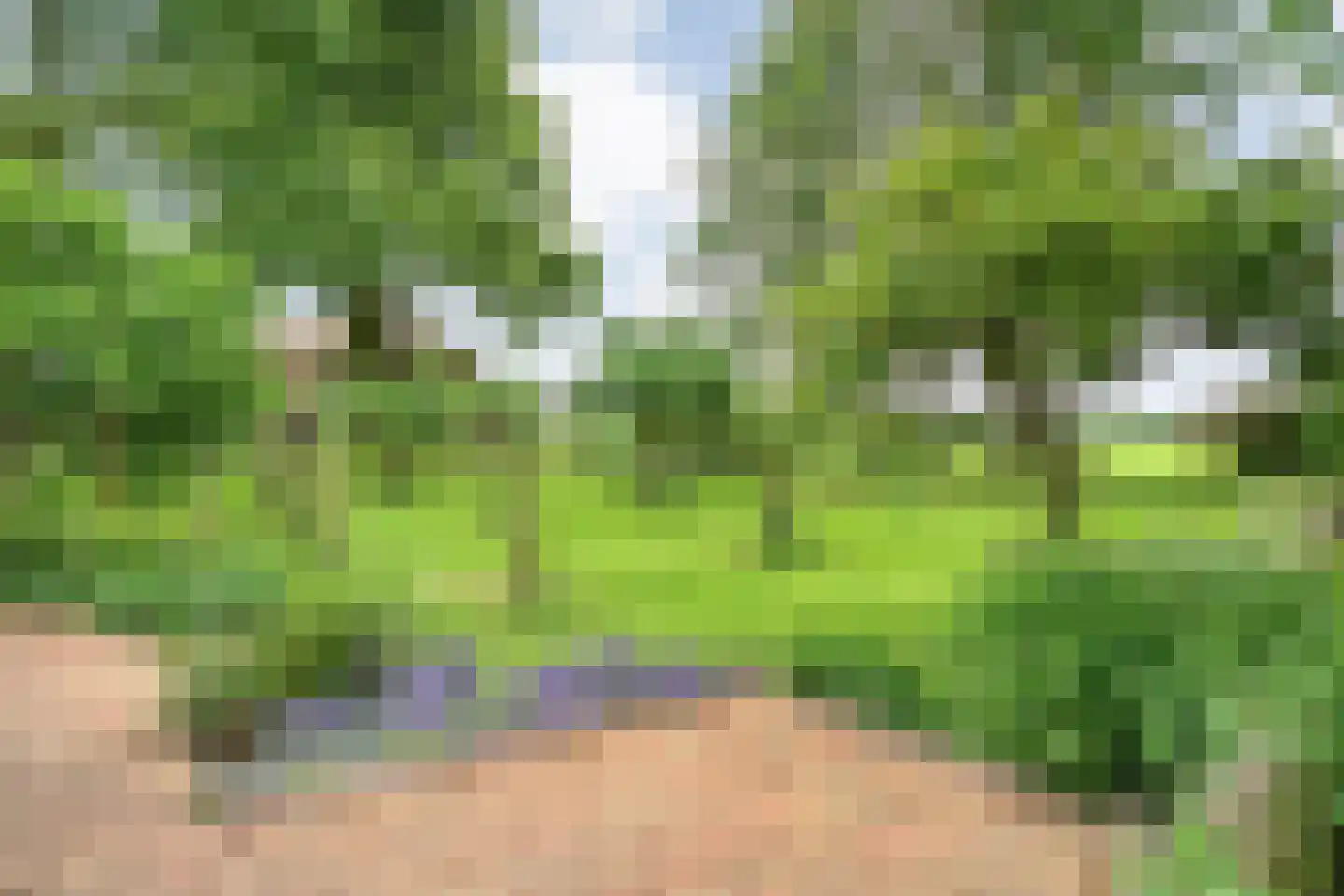 Dennenweg 2 Linde thumbnail 65