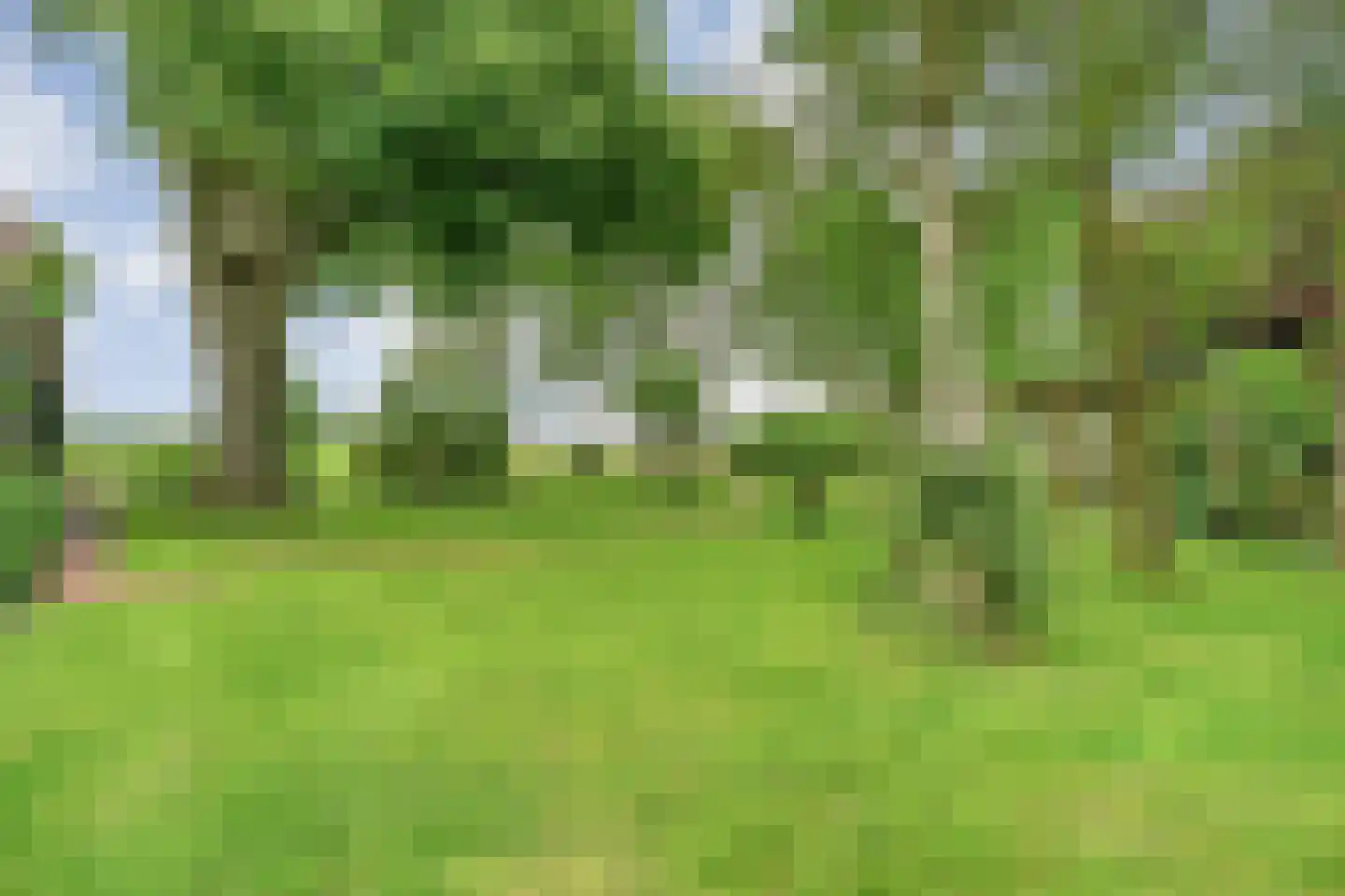 Dennenweg 2 Linde thumbnail 67
