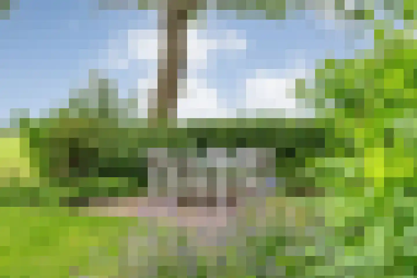 Dennenweg 2 Linde thumbnail 70